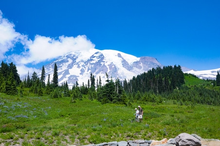 风景-西雅图-美国-雷尼尔雪山-风光 图片素材