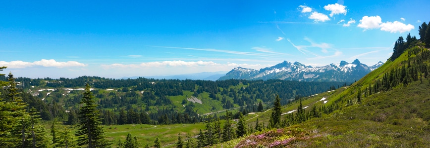 雷尼尔雪山-美国-西雅图-风景-风景 图片素材