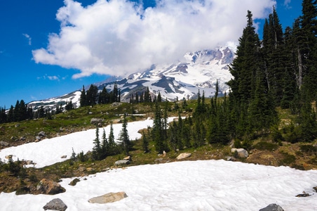 风景-美国-西雅图-雷尼尔雪山-风景 图片素材