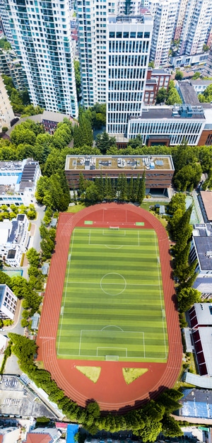 上海市-上海交通大学-校园风景-航拍-风景 图片素材