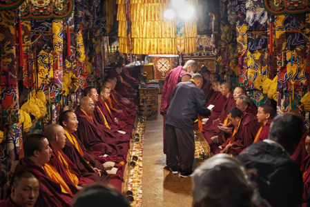 人-西藏-拉萨-八廊街-人文 图片素材