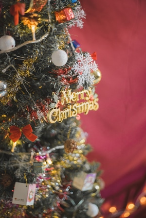 圣诞-写真-我的2019-圣诞树-彩灯 图片素材