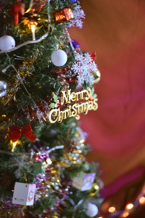 圣诞-场景-圣诞树-彩灯-雪花 图片素材