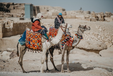 我的2019-非洲-埃及-旅行-小城 图片素材