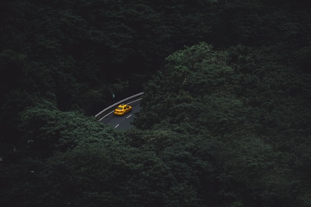 汽车-出租车-树林-森林-道路 图片素材