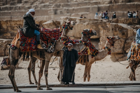 我的2019-非洲-埃及-旅行-小城 图片素材