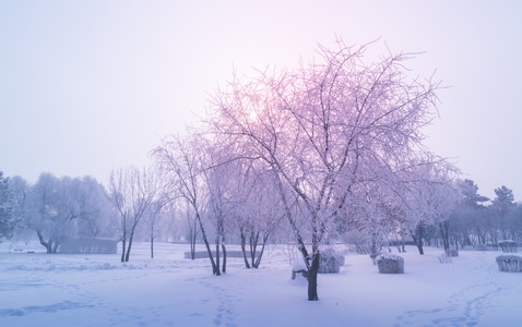 雪景-雾凇-风光-寒冬-东北 图片素材