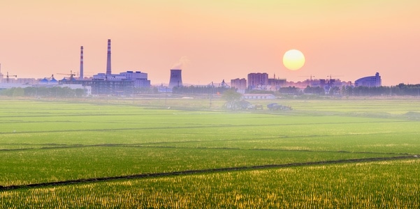 城市-风光-农业-水稻-春天 图片素材