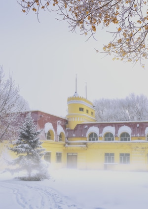 雪景-雾凇-建筑-晨雾-寒冬 图片素材
