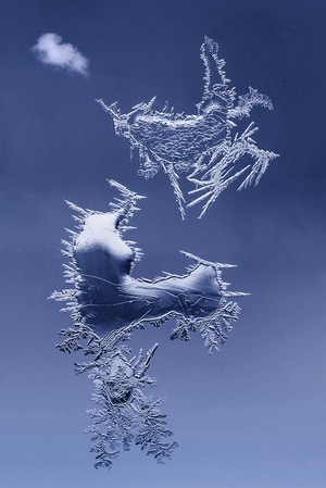 冰窗花-窗户-玻璃-东北-寒冬 图片素材