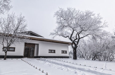 雪景-雾凇-寒冬-日式建筑-风格 图片素材