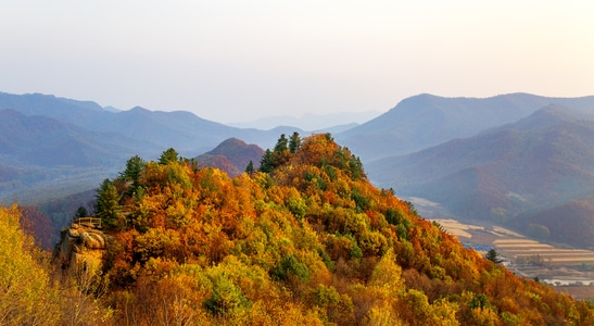 户外-秋色-五花山-清晨-风光 图片素材