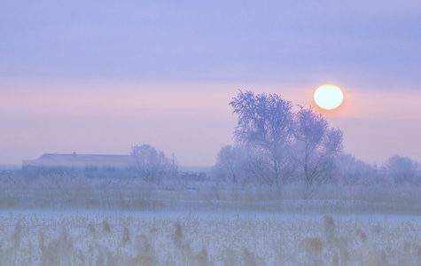 雾凇-晨雾-阳光-东北-严寒 图片素材