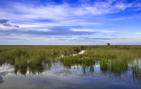 风光-湿地-蓝天白云-生态-环境 图片素材