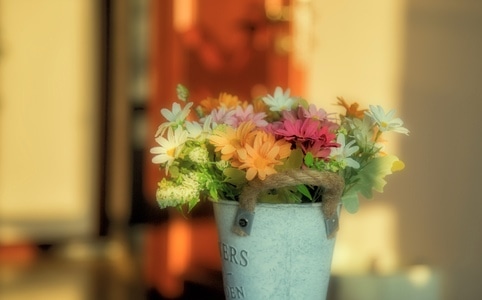 花束-室内-美化-美女-花卉 图片素材