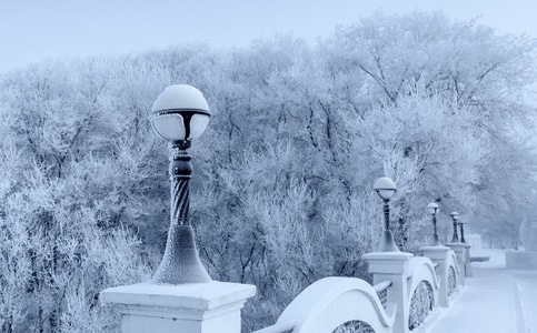 雪景-雾凇-树挂-东北-冬天 图片素材