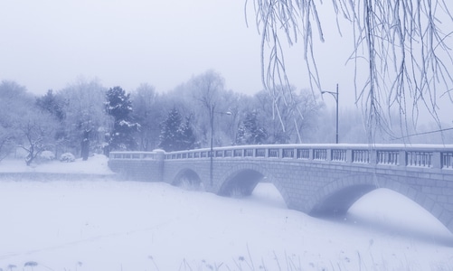 雪景-雾凇-晨雾-哈尔滨-太阳岛 图片素材