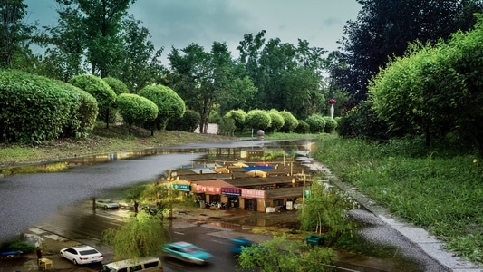 植物园-雨后-生态-风光-马路 图片素材