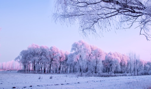 户外-雪景-雾凇-寒冬-风景 图片素材