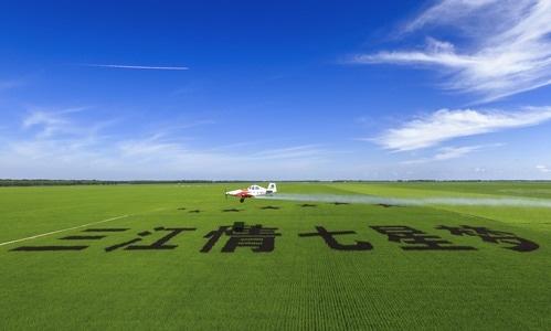 水稻-喷药-飞机-稻田画-蓝天白云 图片素材