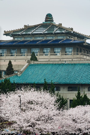 武汉-武汉大学-樱花-建筑-武汉大学 图片素材