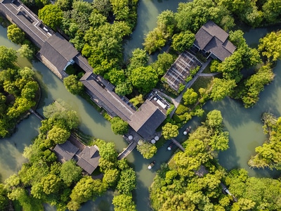 杭州-西溪湿地-洪园-风景-树 图片素材