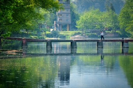 旅行-风光-春季-桥-桥梁 图片素材