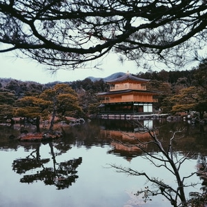 手机摄影-旅行-日本-风景-古建筑 图片素材