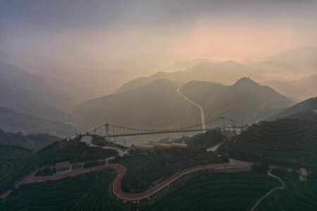旅行-日月星辰-风景-田园-茶园 图片素材