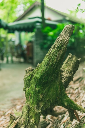 旅行-纪实-乡村-自然-尘世烟火 图片素材