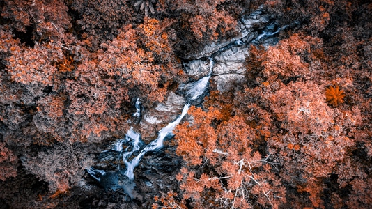 溪流-红叶-自然-溪流-自然 图片素材