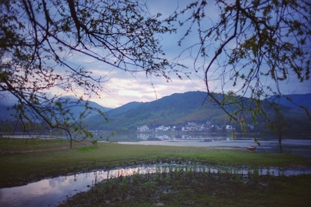 江南-旅行-油菜花-航拍-自然 图片素材