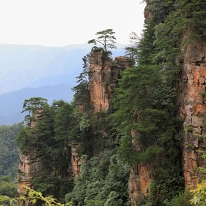 旅行-张家界-风光-景点-天子山 图片素材