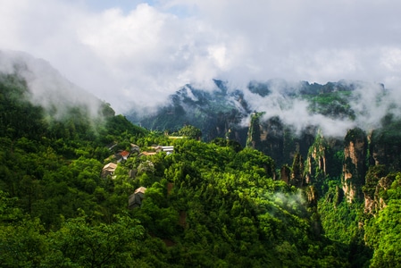 张家界-村庄-晨雾-风景-山 图片素材