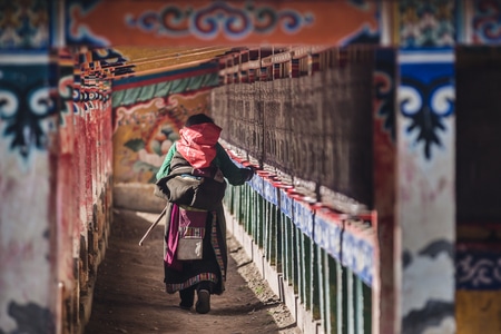 我的2019-旅行-甘南-人像-寺庙 图片素材