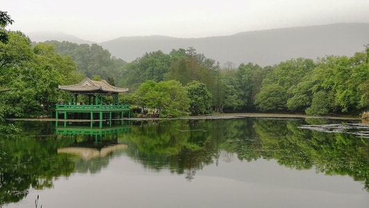 手机摄影-春天-绿色-湖边-风景 图片素材