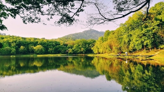 手机摄影-绿色-春天-湖边-风景 图片素材