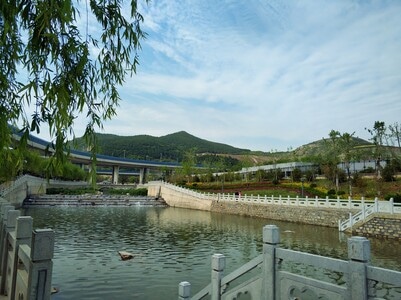 济南市-春天-户外-手机摄影-随手拍 图片素材