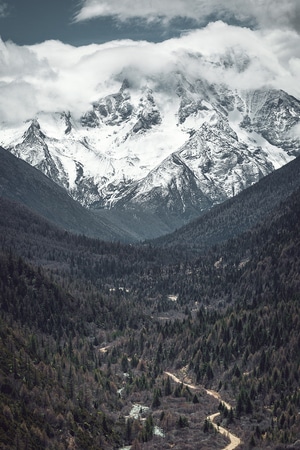 你好2020-广告背景-山峰-背景-电脑桌面 图片素材