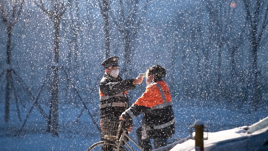 阻击疫情-无惧风雪-宅家-女性-女人 图片素材