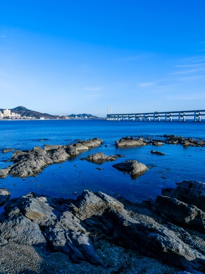 亲子游-经典-旅行-故事-街拍 图片素材