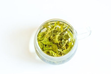 生命-静物-壁纸-环保-环境 图片素材
