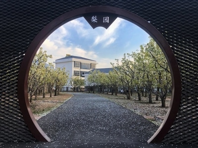 九襄-汉源-梨花-风景-春色 图片素材