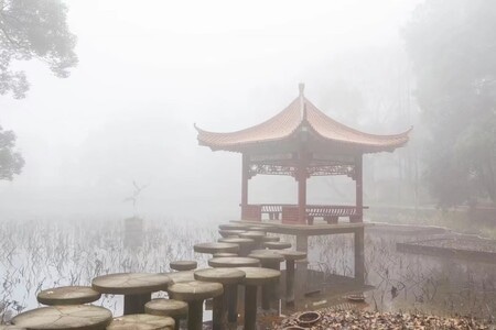 人文-生活-武汉-校园-风光 图片素材