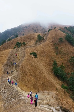 风光-武功山-徒步-高山-冬季 图片素材