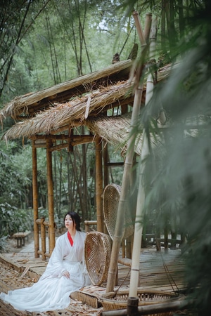 人像-古风-魏晋-女性-女人 图片素材