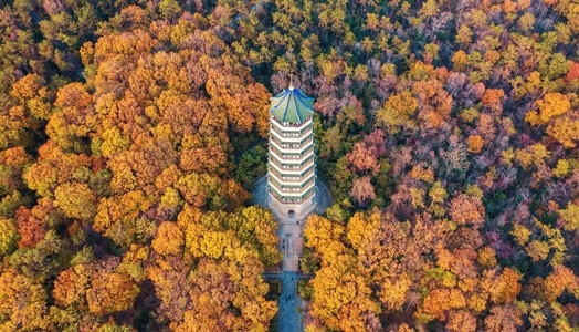 有趣的瞬间-看你的城市-你好秋天-金陵风光-灵谷寺 图片素材