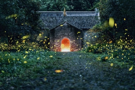 风光-自然-萤火虫-灵谷寺-建筑 图片素材