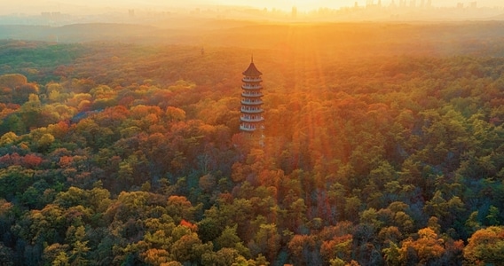 一镜知秋-武汉大学-冬日暖阳-灵谷寺-寺庙 图片素材