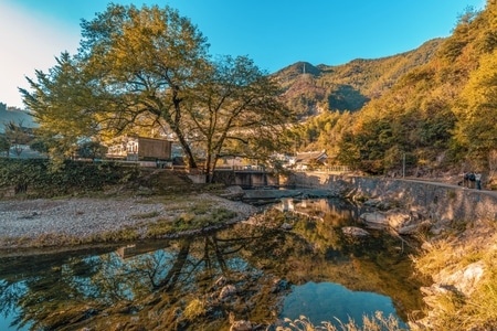 看你的城市-有趣的瞬间-你好秋天-自然-风景 图片素材